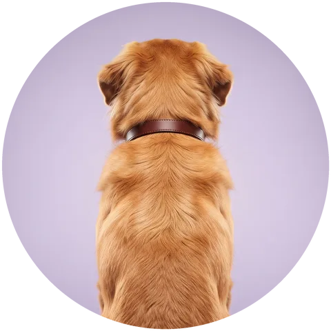Charlie